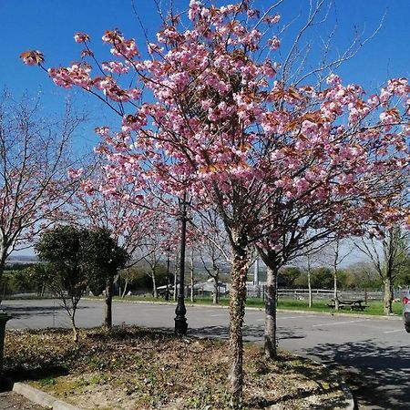 Tara View Apartments Garristown Bagian luar foto